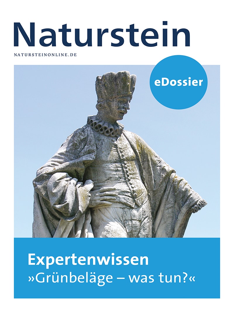 Produkt: Download Expertenwissen “Grünbeläge – was tun?”