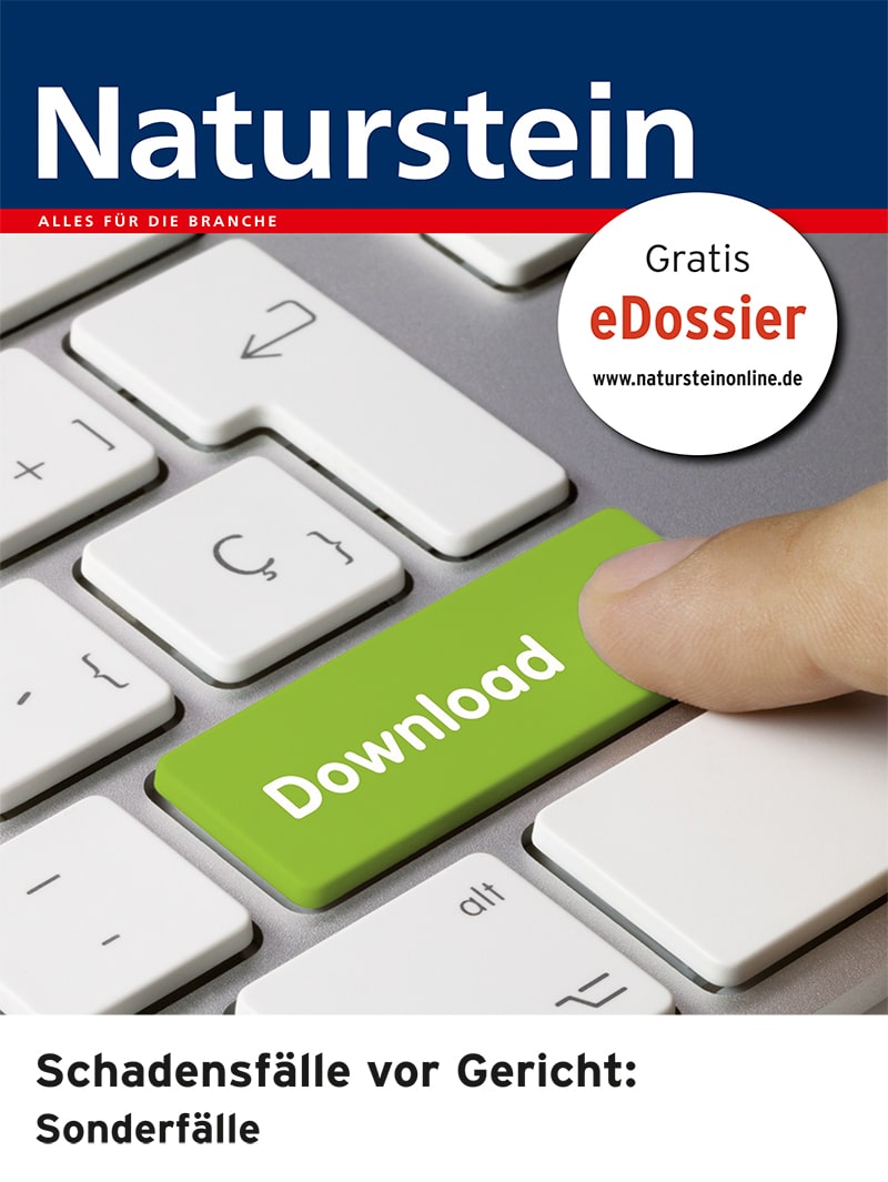 Produkt: Download Schadensfälle vor Gericht: Sonderfälle